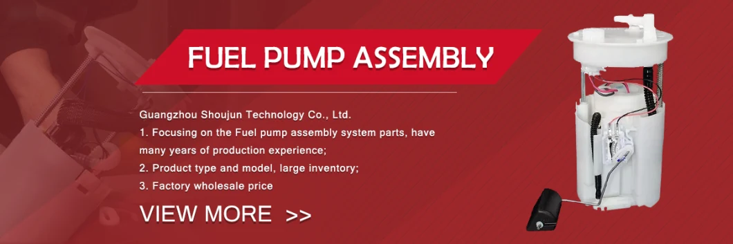 Em1035 Fuel Pump Module Assembly 96320232 96563403 0986580946 for Daewoo Matiz Hatchback
